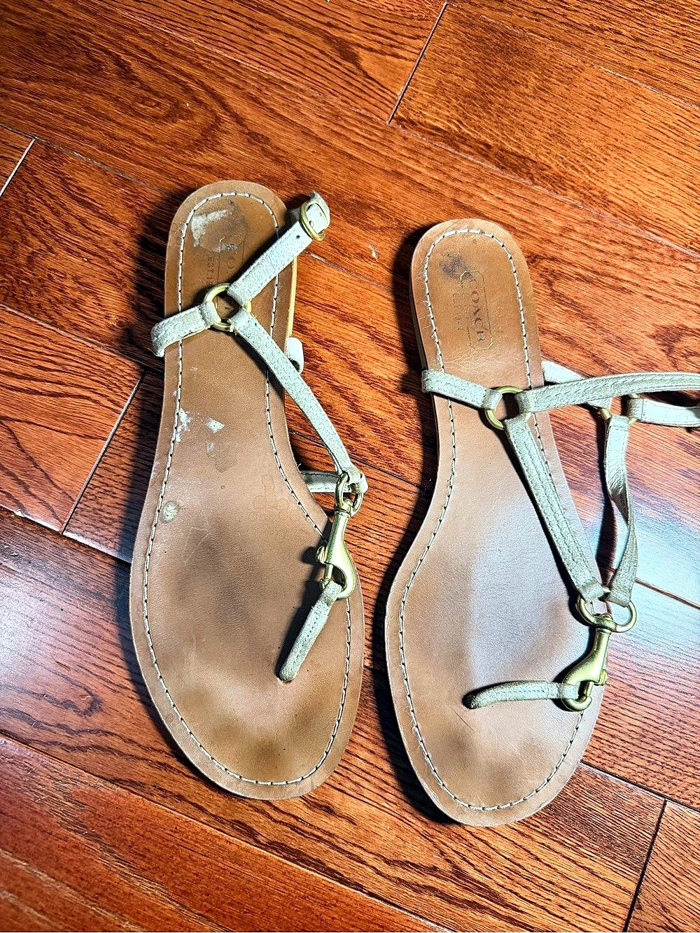 Coach Strappy Sandals in Brown/Gold